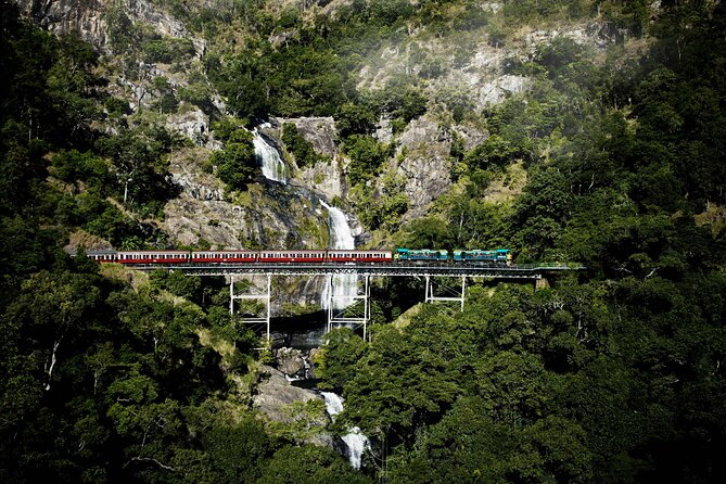Cairns: Waterfall, Wetlands & Kuranda Scenic Rail All Inclusive - Timing, transport and practical expectations