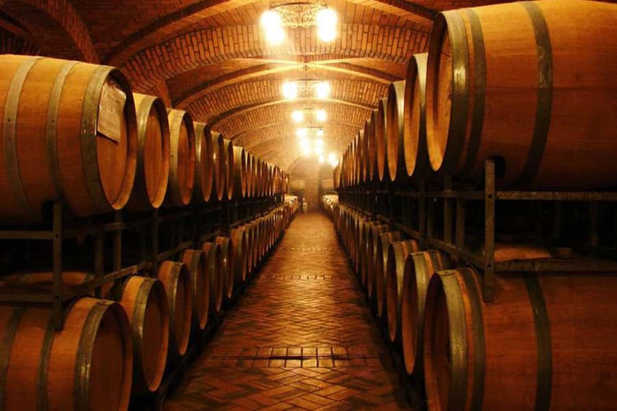 Canela/Gramado: South Wineries, Wine Train, & Italian Park - Key things to know before booking
