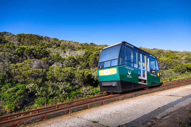 Cape Point Flying Dutchman Funicular Return Ticket - Is the $5.49 fare good value?