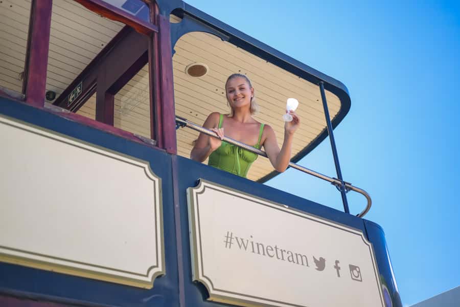 Cape Town: Full-Day Wine Tasting Tour with Wine Tram - Why this tour works for a first wine-country day