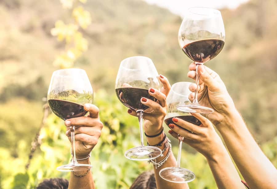 Cape Town: Full-Day Wine Tasting Tour with Wine Tram - How the Franschhoek wine tram works