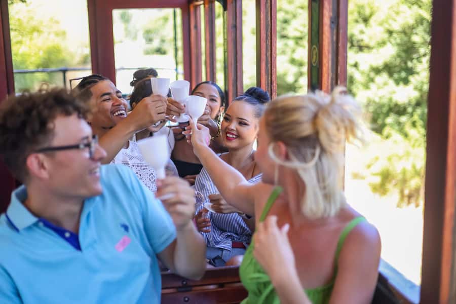 Cape Town: Full-Day Wine Tasting Tour with Wine Tram - The return drive and Mandela stop
