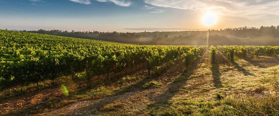 Cape Town: Hop On, Hop Off: Franschhoek Wine Tram Tour! - From Cape Town to the Franschhoek Valley