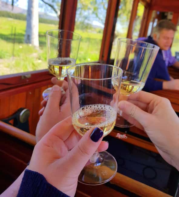 Cape Town: Hop On, Hop Off: Franschhoek Wine Tram Tour! - Pink Line: a compact route with unusual variety