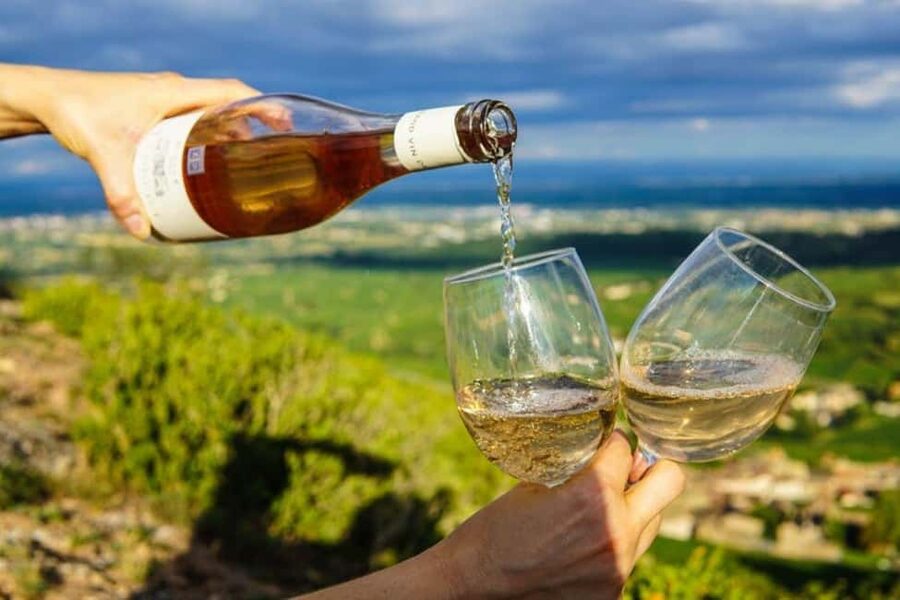 Cape Town: Hop On, Hop Off: Franschhoek Wine Tram Tour! - The scenery and the pace