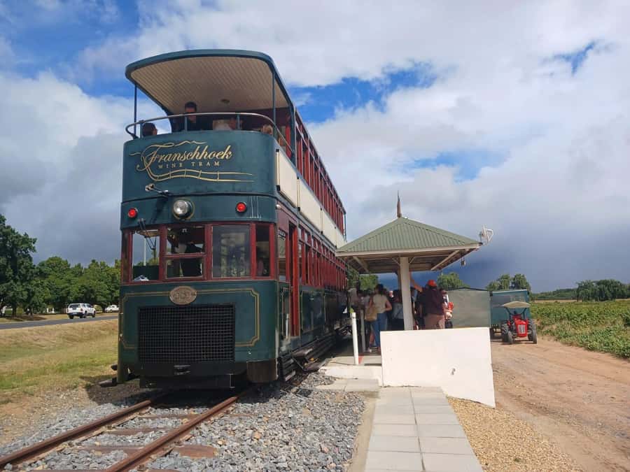 Cape Town: Stellenbosch, Franschhoek, Wine Tasting and Tram - Marianne and the South African biltong pairing