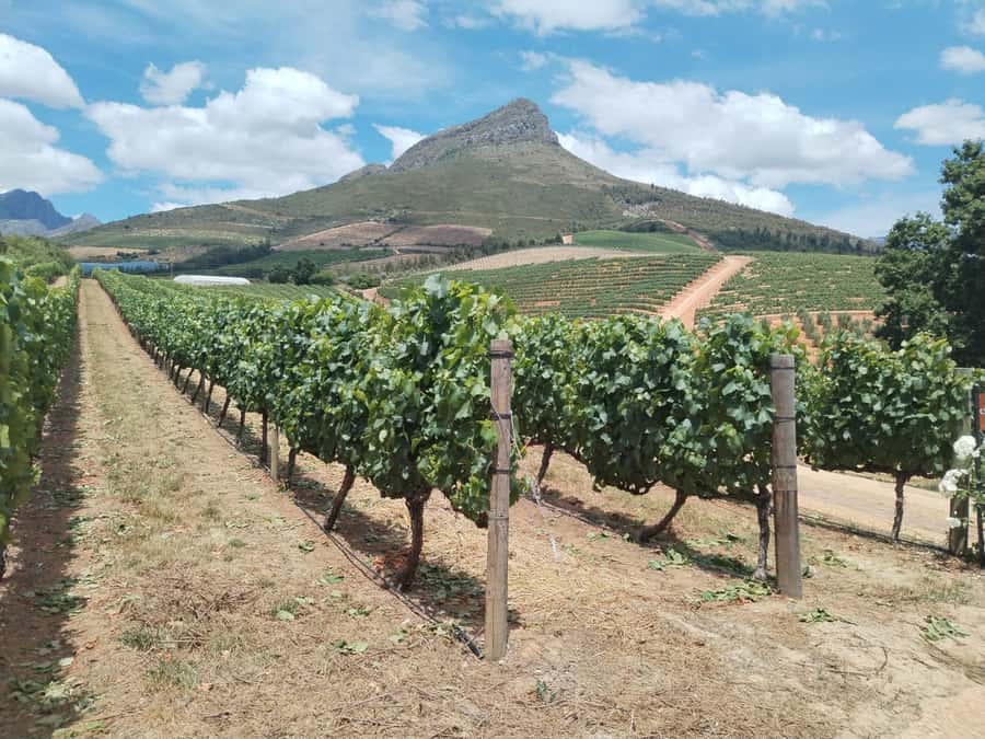 Cape Town: Stellenbosch, Franschhoek, Wine Tasting and Tram - The road east, with context beyond the vineyards