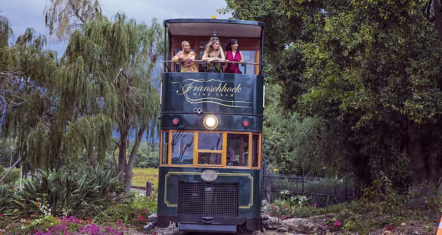 Cape Town: Wine Tram & Winelands Tour with Tastings & Pickup - Why this Winelands day works so well