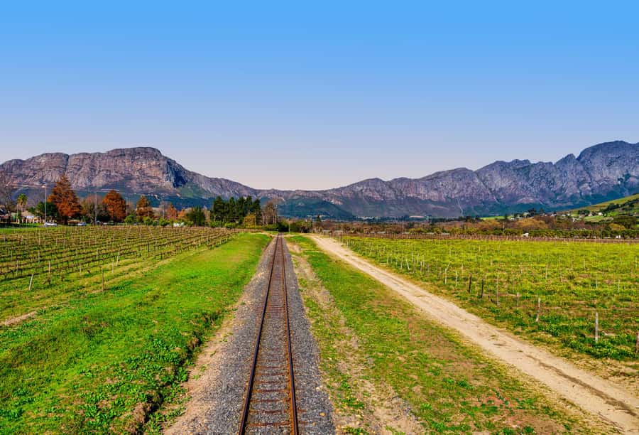 Cape Town: Wine Tram & Winelands Tour with Tastings & Pickup - Lunch choices change the value of the tour