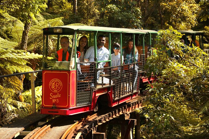 Captivating Railway Journey in Coromandel - Why Driving Creek Railway feels different