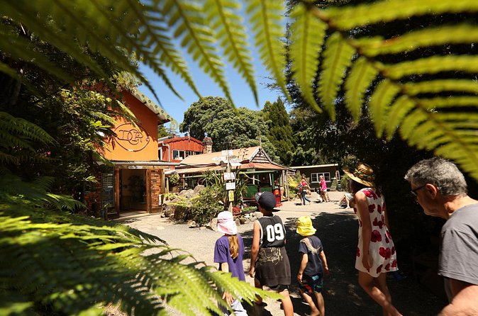 Captivating Railway Journey in Coromandel - Pottery, engineering, and one unusual local story