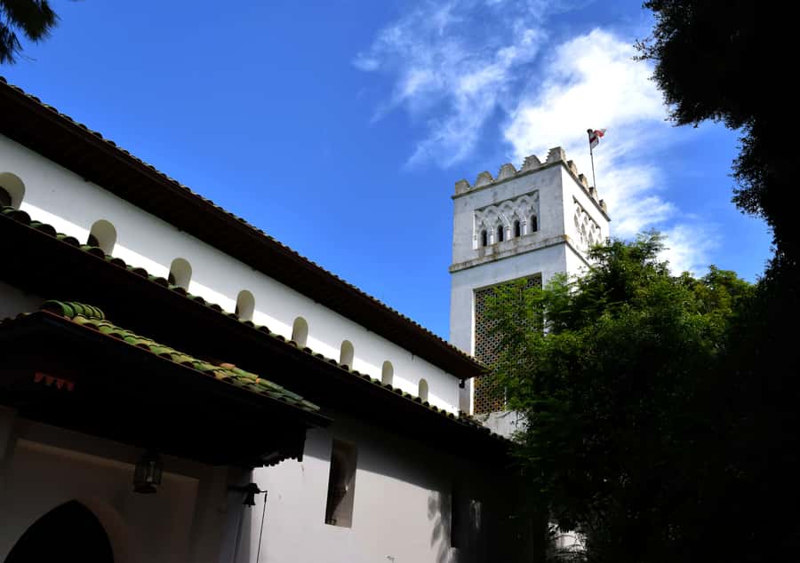 Casablanca: Tangier Day Tour by High-Speed Train - Who should book this Tangier day trip?