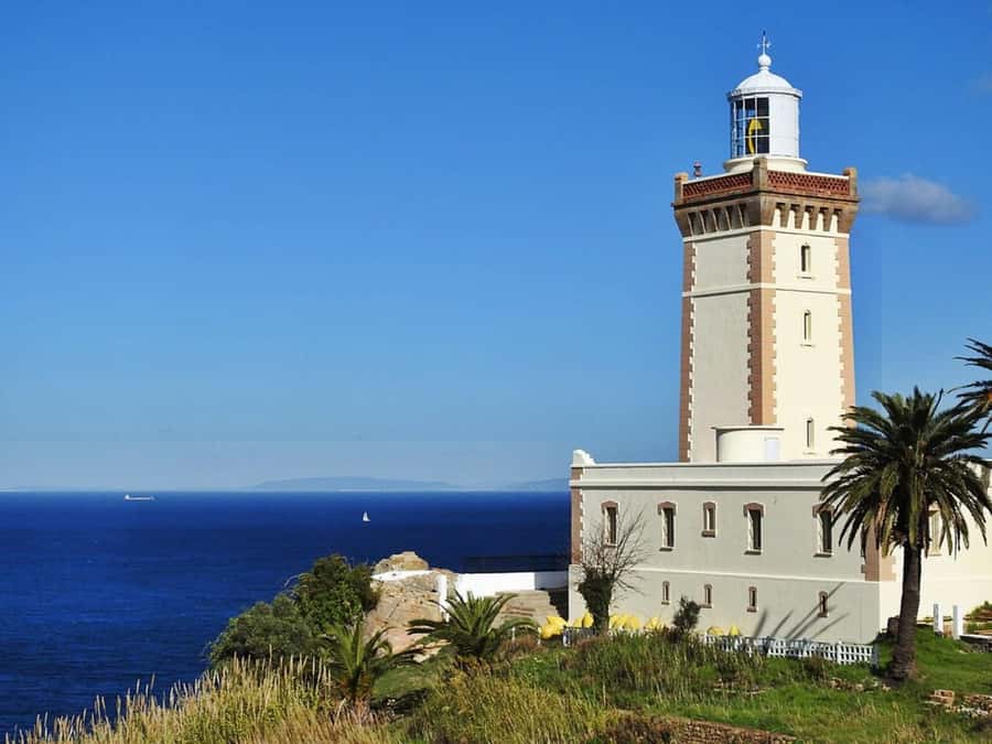 Casablanca to Tangier Guided Day Trip By High-Speed Train - Timing, group size, and the shape of the day