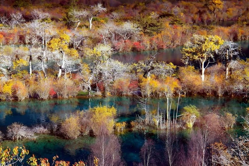 Chengdu: private 2-Day Huanglong Jiuzhaigou tour by train - Day two: Jiuzhaigou’s three Y-shaped valleys