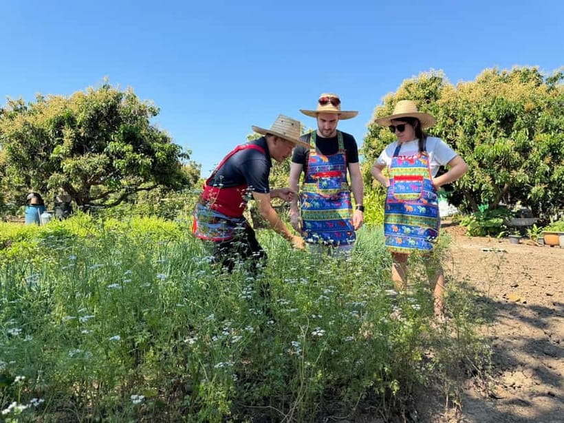 Chiang Mai : Cook in Farm, Market tour & Go by a Local Train - Choosing your menu at a village home