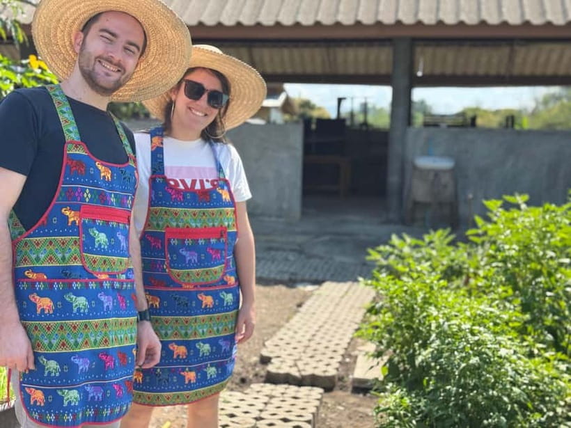 Chiang Mai : Cook in Farm, Market tour & Go by a Local Train - How the $57 price compares with the experience