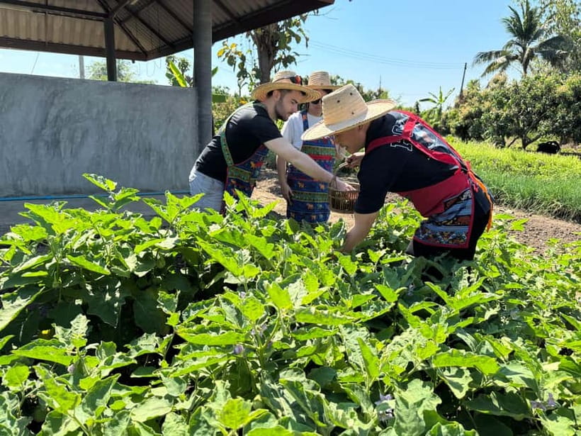 Chiang Mai : Cook in Farm, Market tour & Go by a Local Train - Should you book the Chiang Mai farm cooking class?
