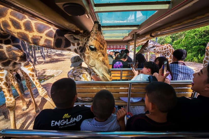 Chiang Mai Night Safari: Entry Ticket with Tram Ride - A Night Safari Built Around Three Animal Zones