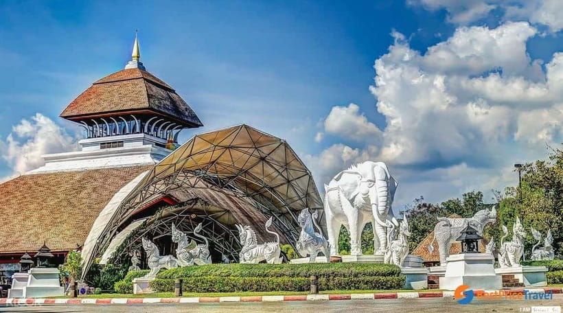 Chiang Mai Night Safari: Entry Ticket with Tram Ride - Predator Zone: Tigers, Lions, and the Main Excitement