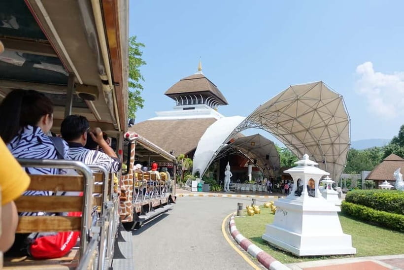 Chiang Mai Night Safari: Entry Ticket with Tram Ride - The Open-Air Tram Through the Savanna Zone
