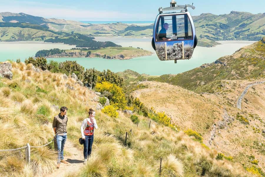 Christchurch Gondola and Tram City Tour Combo - Key points to know before booking