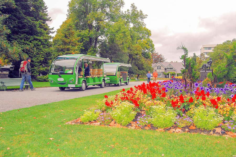 Christchurch Gondola and Tram City Tour Combo - Comfort, access, and small practical cautions