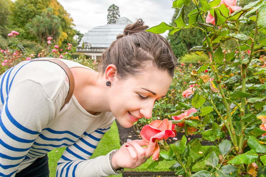 Christchurch Gondola and Tram City Tour Combo - Walks, the Discovery ride, and Red Rock Café