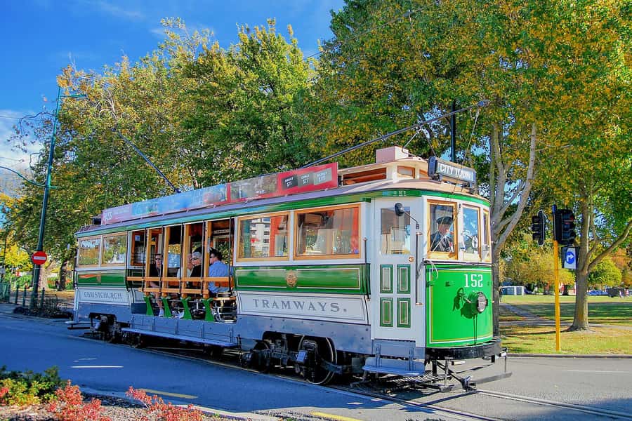 Christchurch: Hop-On Hop-Off Tour by Vintage Tram - Timing, queues, and cruise-ship days