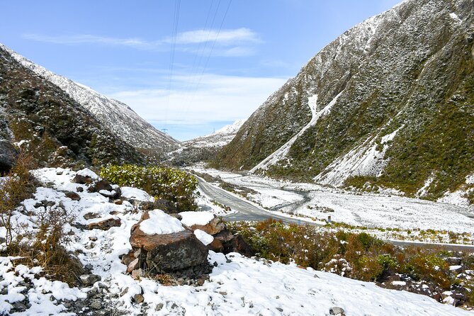 Christchurch to Arthur's Pass Day Tour: TranzAlpine Train & Lunch - Otira Viaduct and the cheeky kea