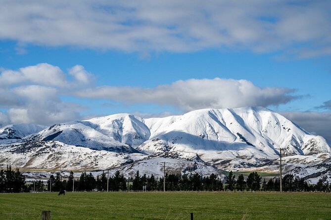 Christchurch to Arthur's Pass Day Tour: TranzAlpine Train & Lunch - Lake Lyndon and Porters Pass