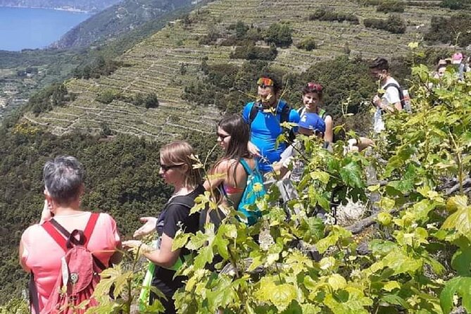Cinque Terre by train and boat (no ferries in winter) - Trains, tickets, and the practical side of the day