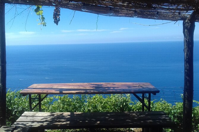 Cinque Terre by train and boat (no ferries in winter) - Manarola, the steep village with the famous view