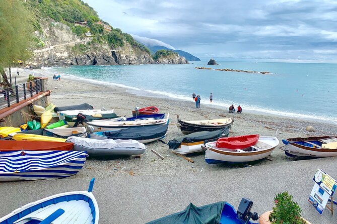 Cinque Terre by Train from La Spezia - Manarola: colorful houses above the sea