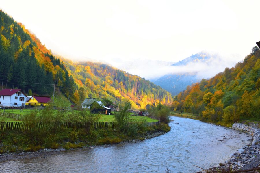 CJ03 - Day trip to Maramures Mocanita Train from Cluj Napoca - Why the Mocănița train is worth the long road from Cluj