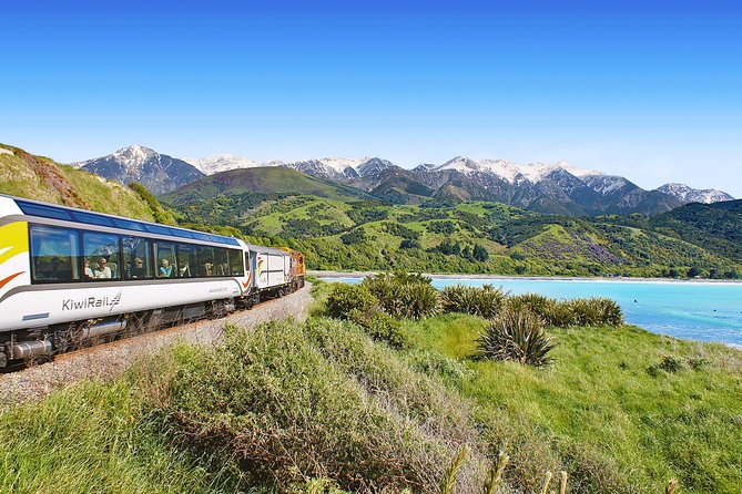 Coastal Pacific Train Journey from Christchurch to Picton - Why this railway trip is different