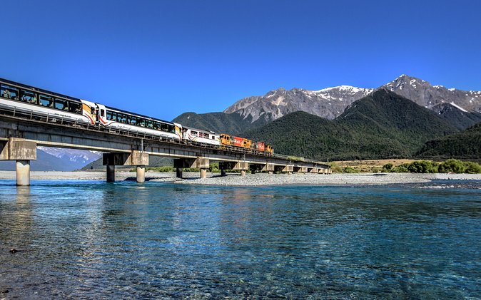 Coastal Pacific Train Journey from Christchurch to Picton - Kaikoura wildlife and the value of looking up