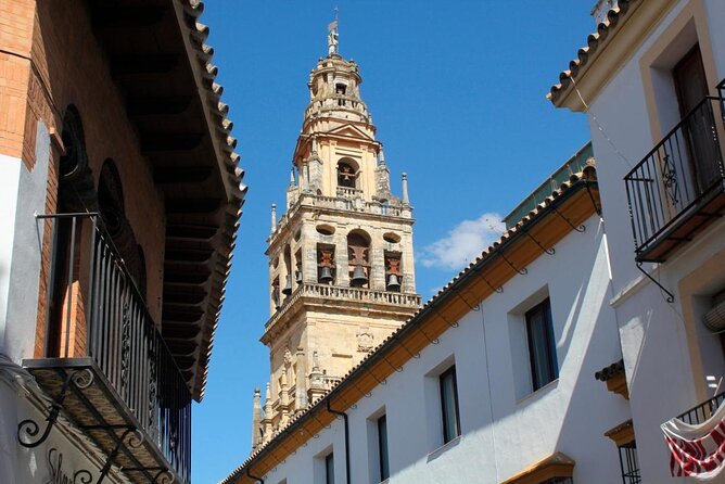 Cordoba Private Daytrip from Sevilla by Train - Key points to know before booking