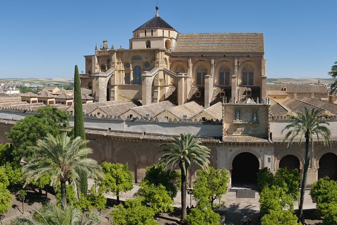 Cordoba Private Daytrip from Sevilla by Train - Who will get the most from this tour