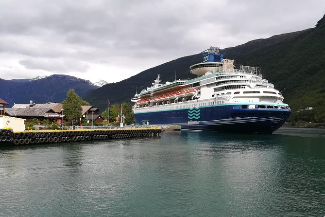 Cruise Special: Private Trip To Canyons And Waterfalls With Flåm Railway - Key points to know before you book