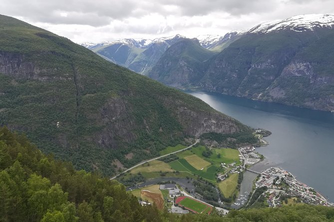 Cruise Special: Private Trip To Canyons And Waterfalls With Flåm Railway - Why this Flåm shore excursion is appealing