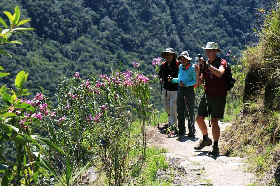 Cusco: Machu Picchu 2-Day Inca Trail with Panoramic Train - What is included, and what is not