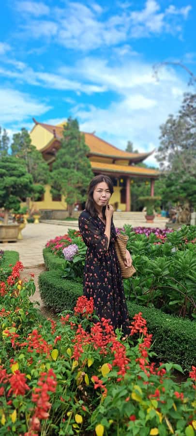 Dalat city tour by private car Combined train trip, Ziplines - Linh Phuoc Pagoda and the final stop at Dalat Market