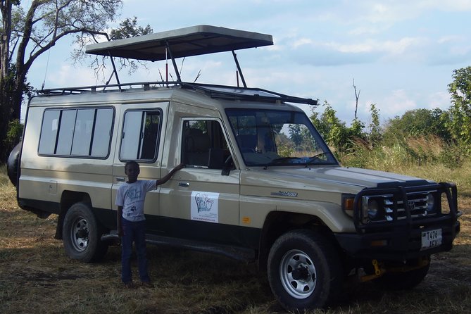 Dar Es Salaam: Day Trip Safari to Mikumi National Park by Train - Lunch Around 1:00pm and an Afternoon in the Park