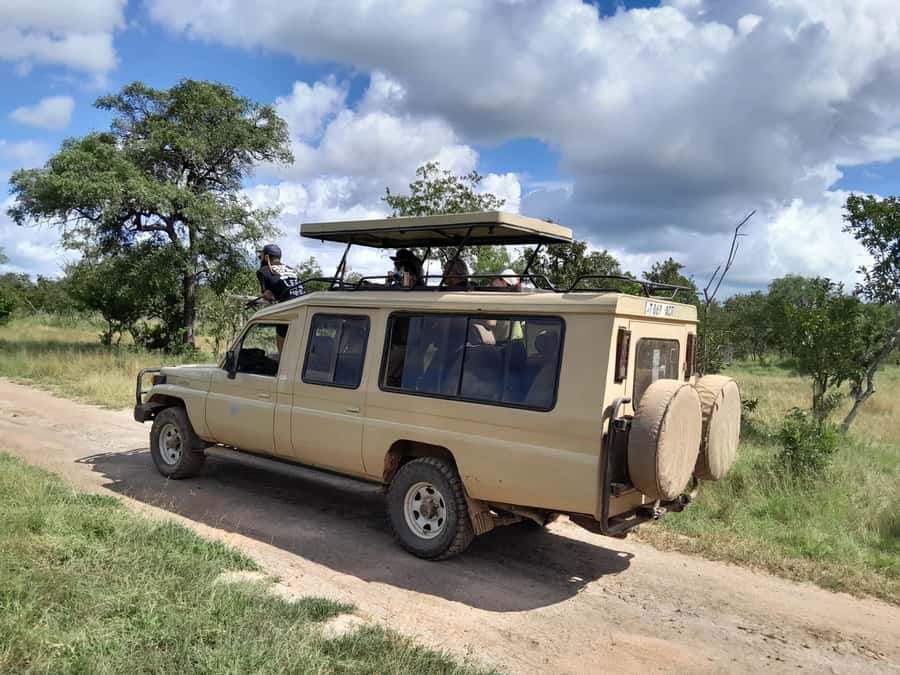 Dar es Salaam: Mikumi National Park Day Trip with Train Ride - Why this day trip is worth considering