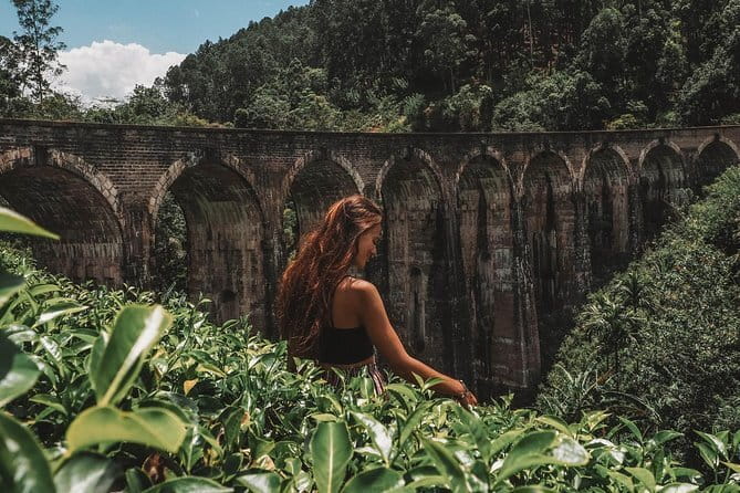 Day Excursions to Horton Plains & Local Train Experience from Ella - The Ohiya to Ella train ride