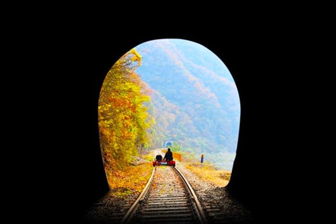 Day Tour to Gangchon Rail Bike Nami Island and Petite France - Petite France: one hour in a French-themed village