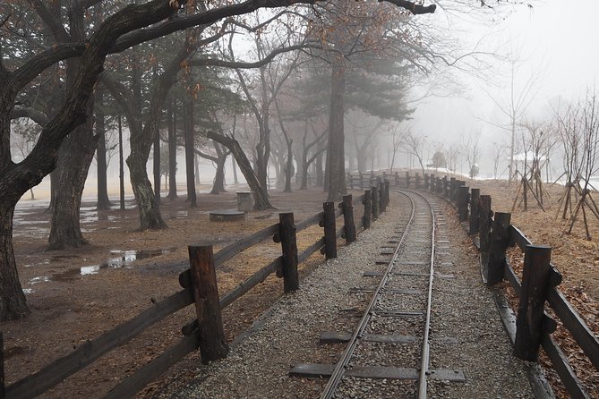 Day Tour to Gangchon Rail Bike Nami Island and Petite France - What the $169.24 price covers