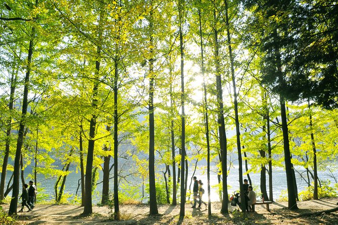 Day Trip to Nami Island with Rail bike and The Garden of Morning Calm - Gangchon Rail Park: the active finish