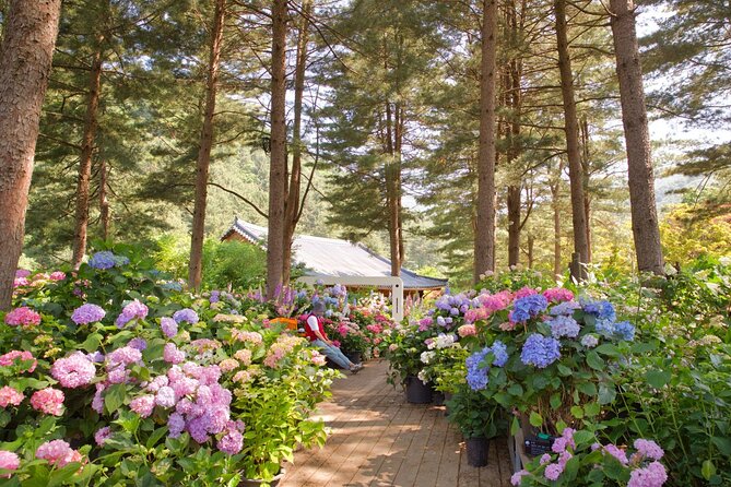 Day Trip to Nami Island with Rail bike and The Garden of Morning Calm - The schedule, group size, and guide factor