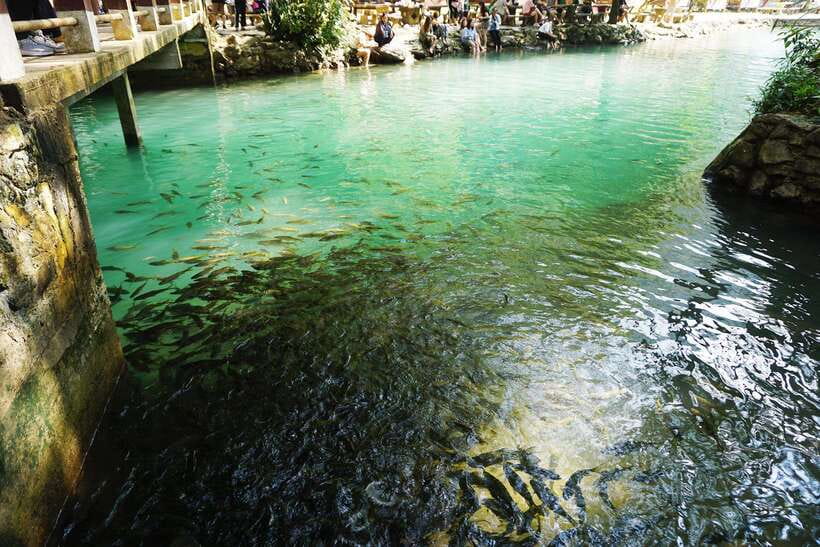 Day Trip Vientiane - VangVieng by Express Train - A short ride on the Nam Song River
